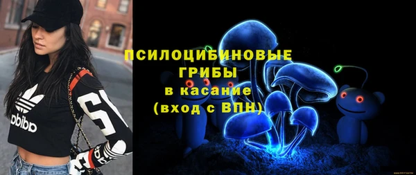 прущие крисы Алексин